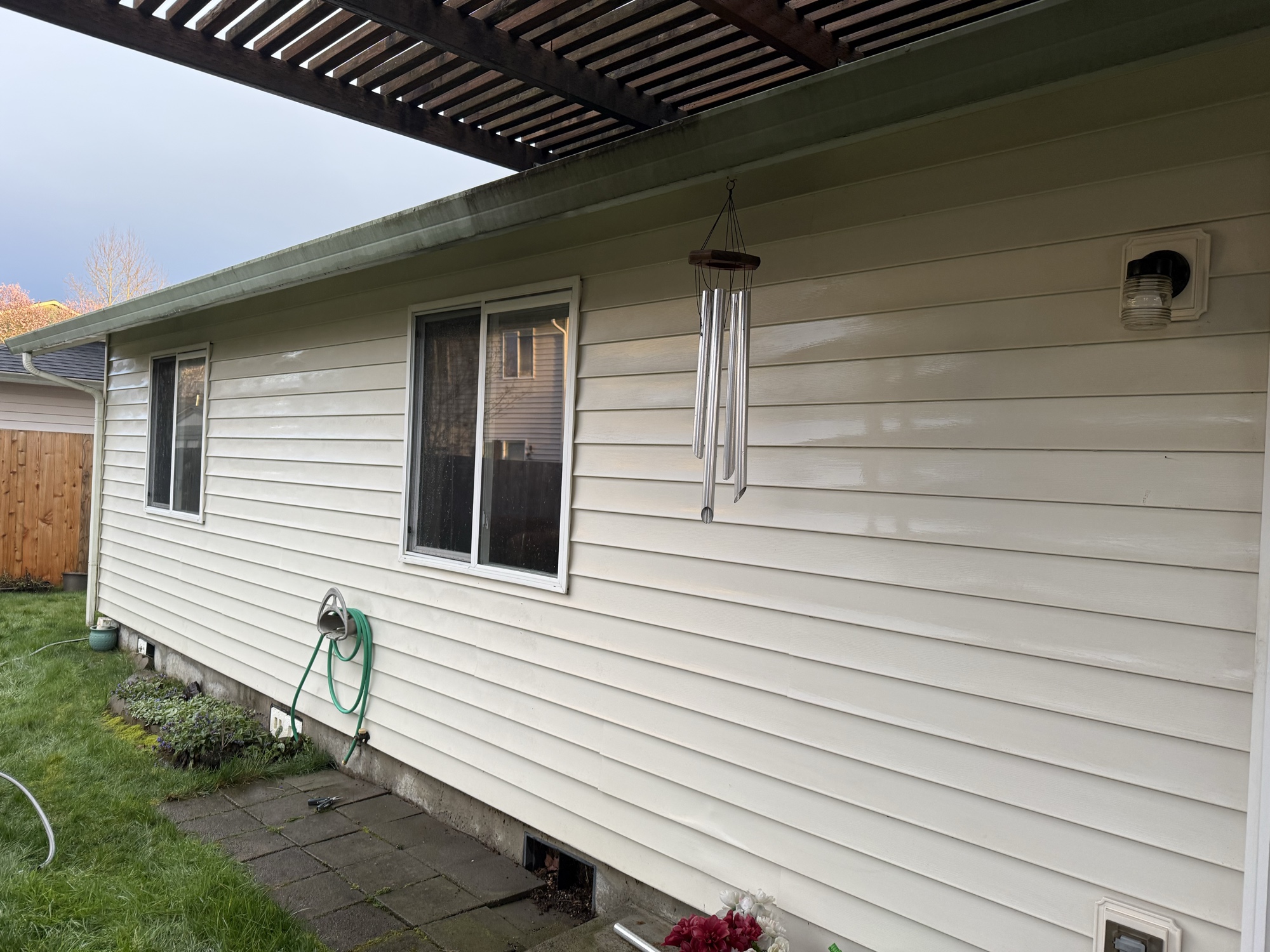 Before: green mold on siding