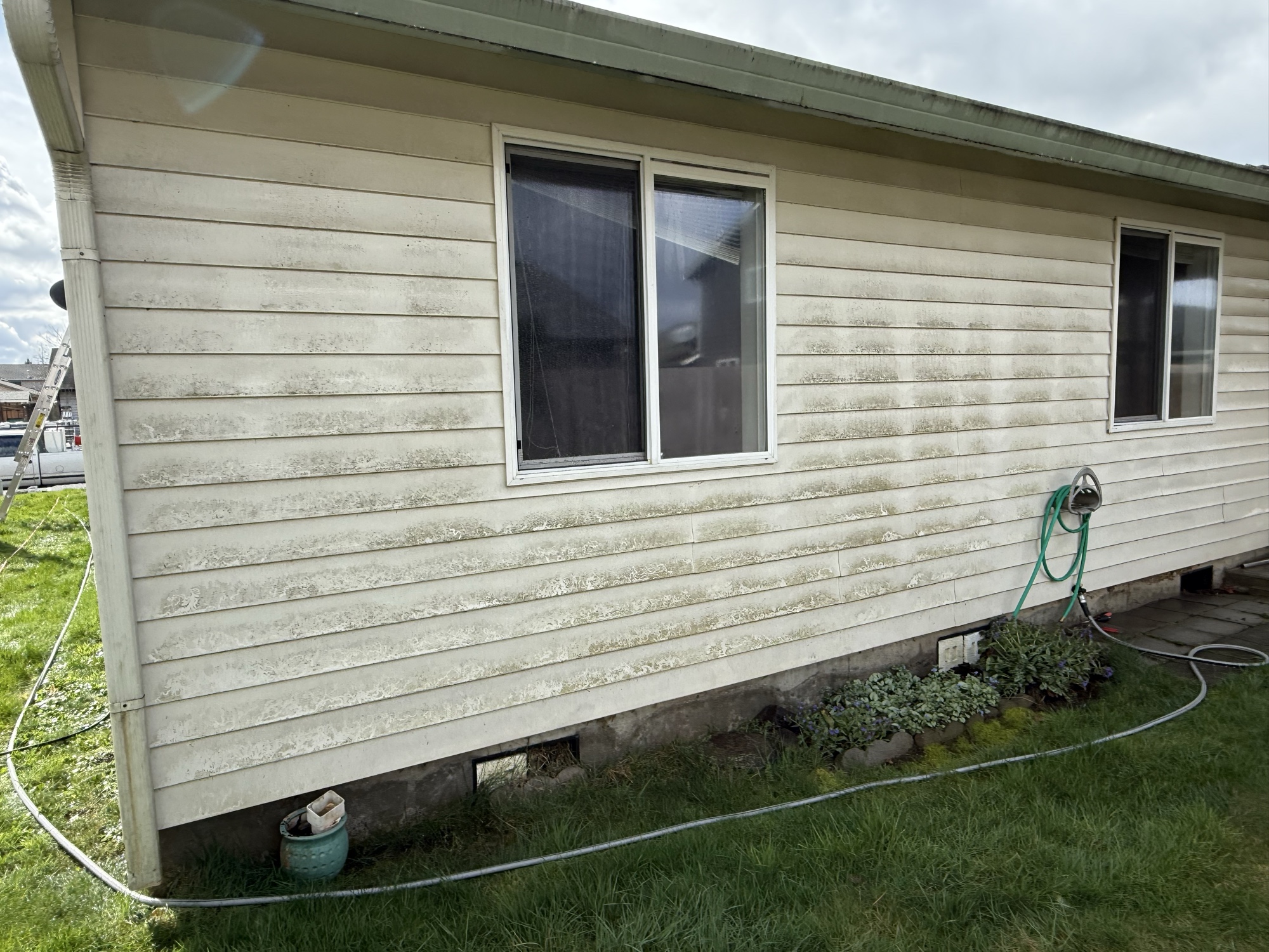 Before: algae-covered siding