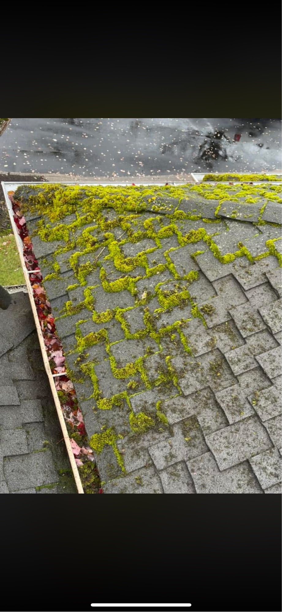 Before: heavy moss on roof
