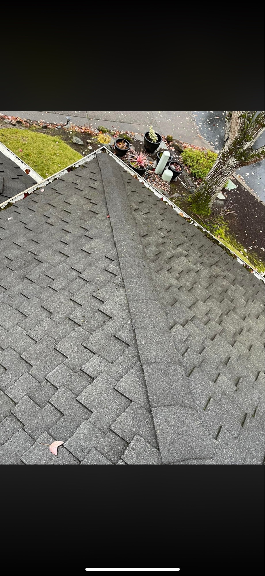 Clean roof after moss removal