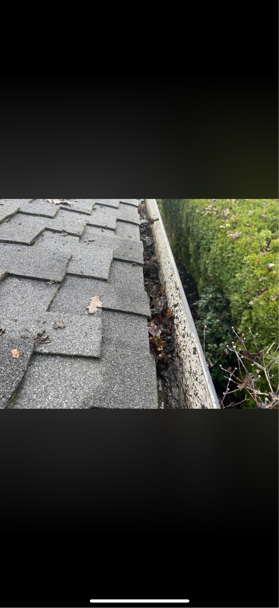 Before: clogged gutters