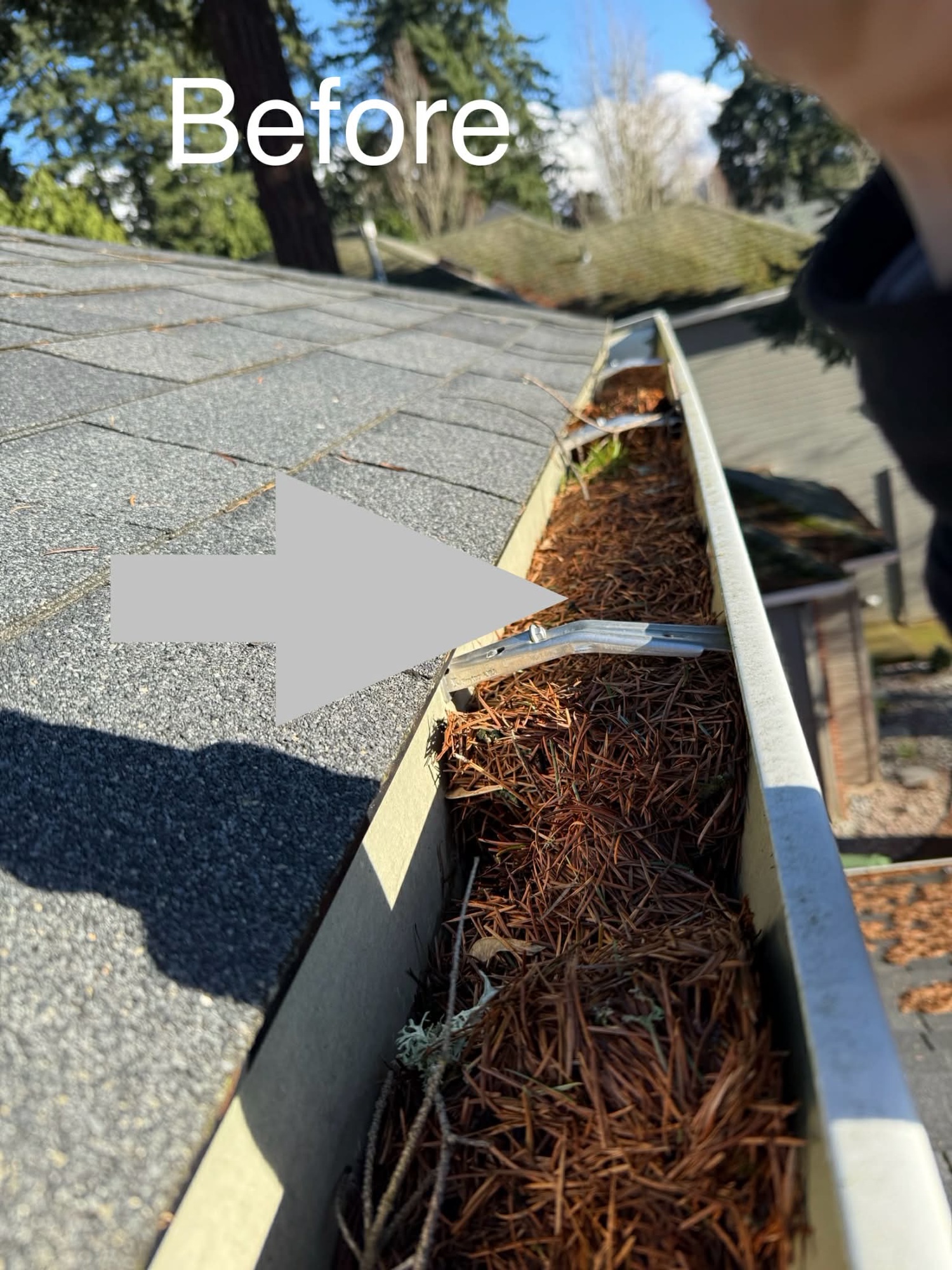 Before: algae-streaked roof