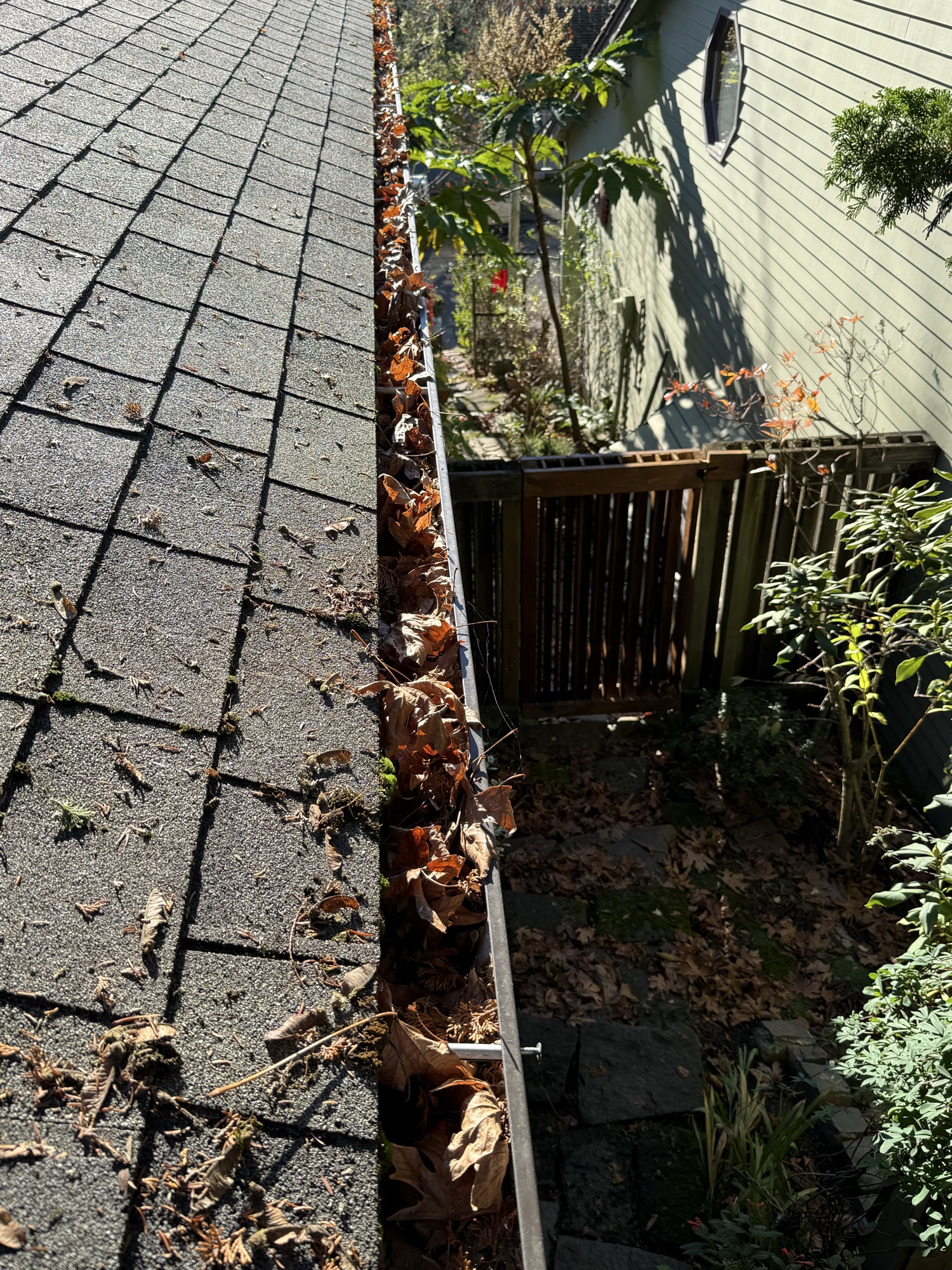 Soft wash roof cleaning on Portland home
