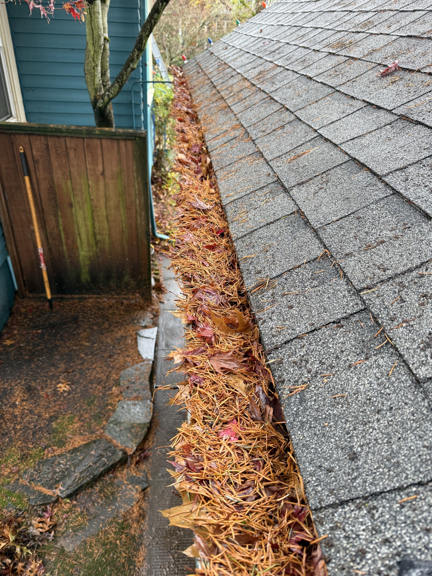 Roof cleaning — detailed view of clean shingles after service
