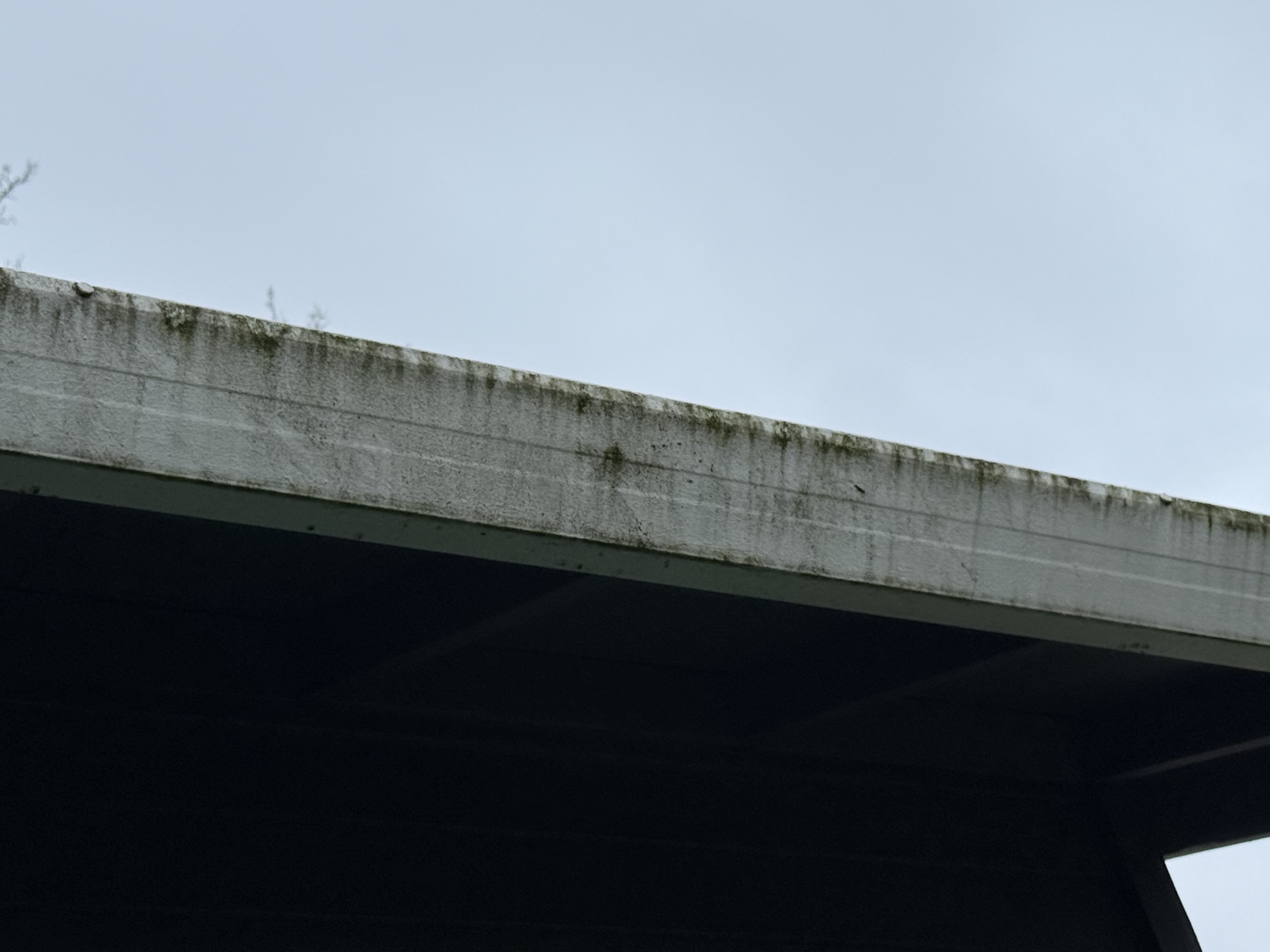Roof cleaning — closeup of restored shingles